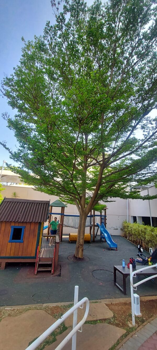 [132 apartamentos] Condomínio Rossi Mais Sintonia - Belo Horizonte/MG - Imagem 6